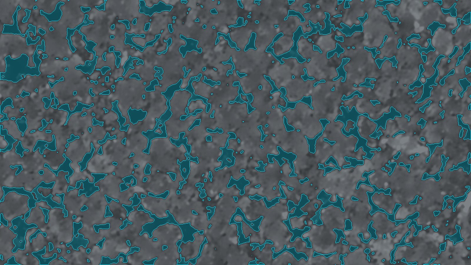 Pore space segmented from the denoised scan